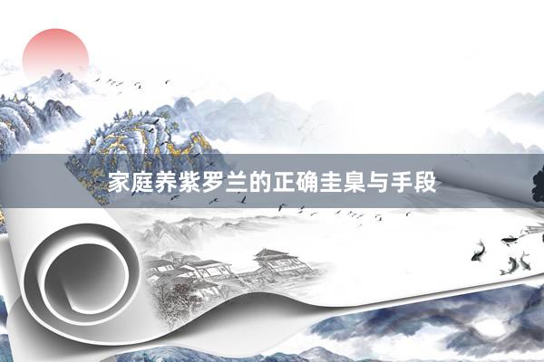 家庭养紫罗兰的正确圭臬与手段