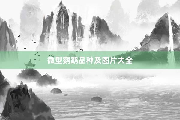 微型鹦鹉品种及图片大全