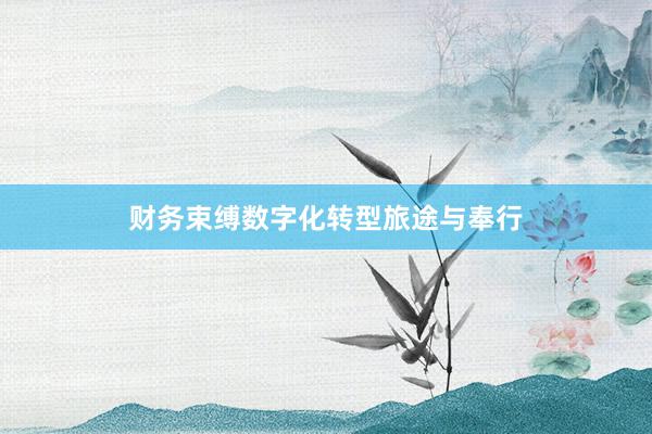 财务束缚数字化转型旅途与奉行